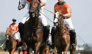 Polo Match