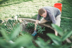 groundskeeper working in garden